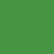 Username Color - Fami Green